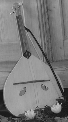 herzviola